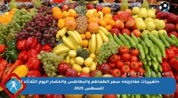 «تغييرات مفاجئة» سعر الطماطم والبطاطس والخضار اليوم الثلاثاء 12 أغسطس 2025